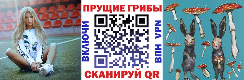 Галлюциногенные грибы GOLDEN TEACHER Сураж