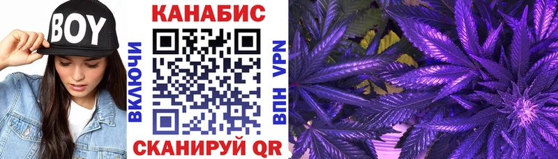 Купить где  Сураж  Конопля SATIVA & INDICA 